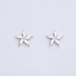 FLASH STAR pierced earrings SV