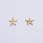 FLASH STAR  pierced earrings